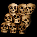 Nine Skulls nine skulls